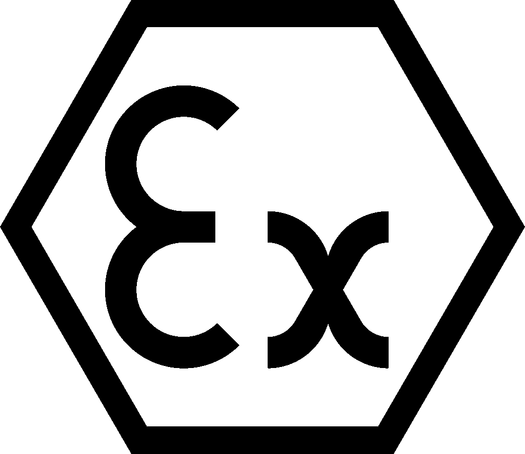 Logo Ex